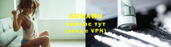 соль ск Кукмор