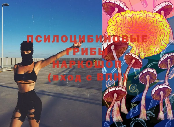 соль ск Кукмор