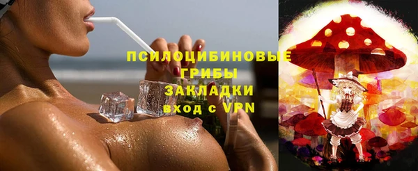 ALPHA PVP Краснослободск