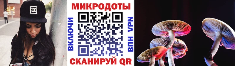 Псилоцибиновые грибы мицелий Лесозаводск