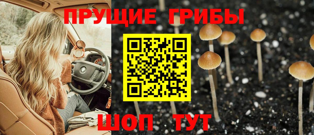 Лесозаводск  Псилоцибиновые грибы прущие грибы  Вход с VPN 