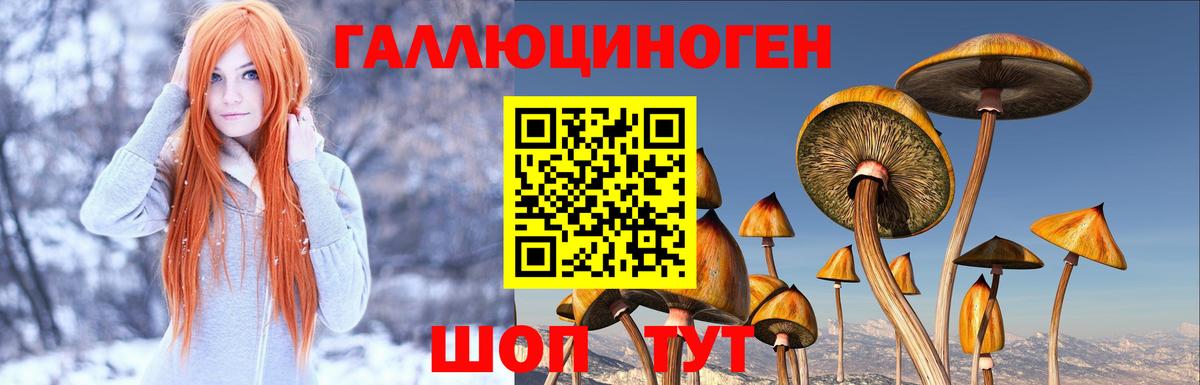 Псилоцибиновые грибы мухоморы Лесозаводск