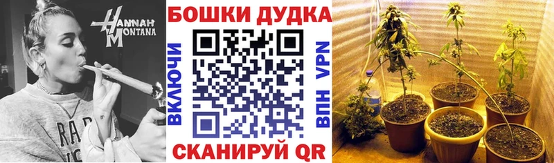 Шишки марихуана гибрид  где продают наркотики  Лесозаводск 